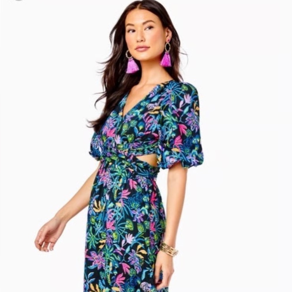NWOT Lilly Pulitzer Teyla Floral Puff Sleeve Maxi Dress, Size 00